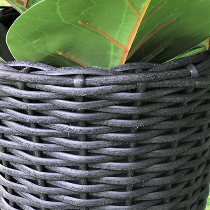 ABBEY 4 Piece Set Poly Rattan Wicker Planter Pot - Black - Direct Factory Furniture Australia