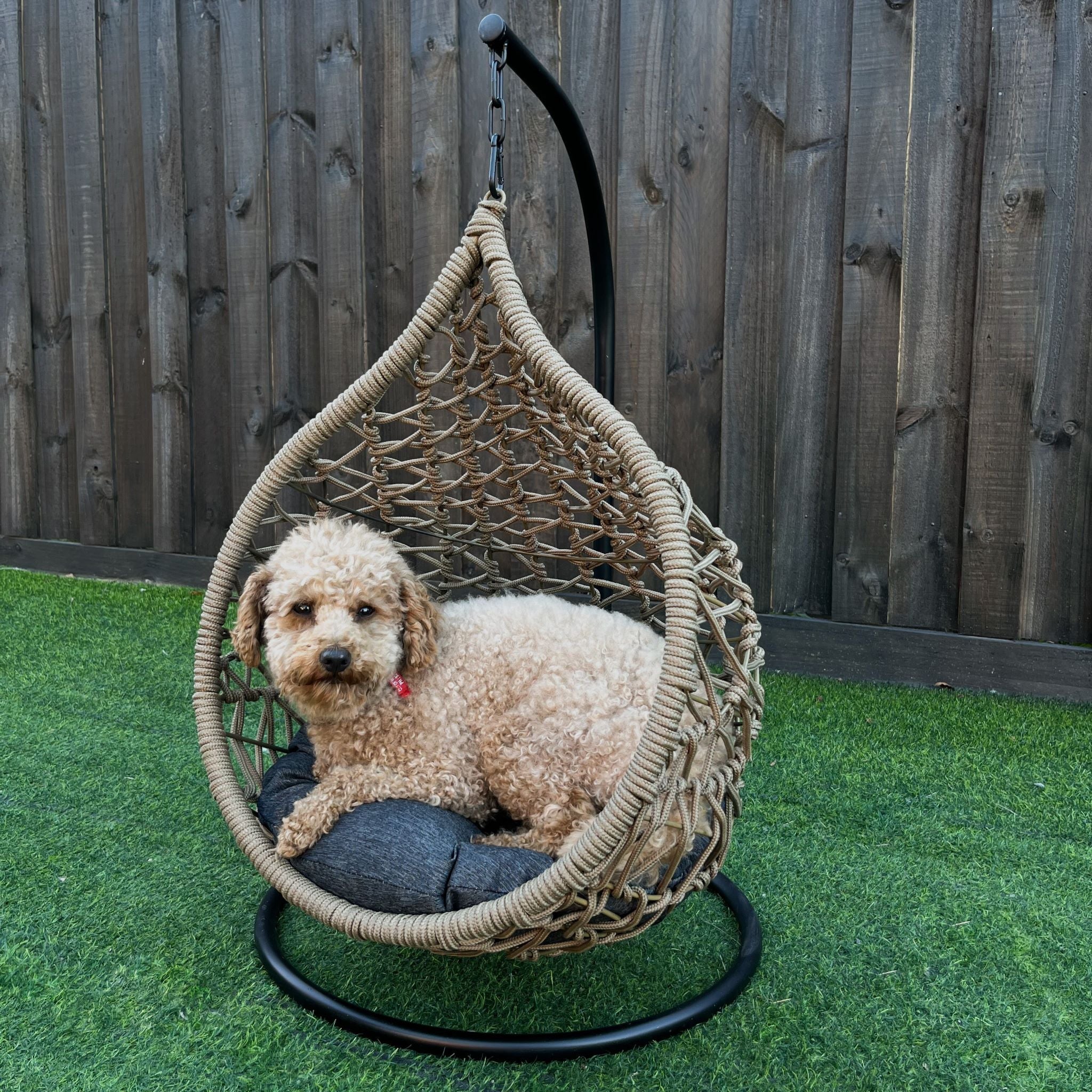 Dog 2024 swing bed