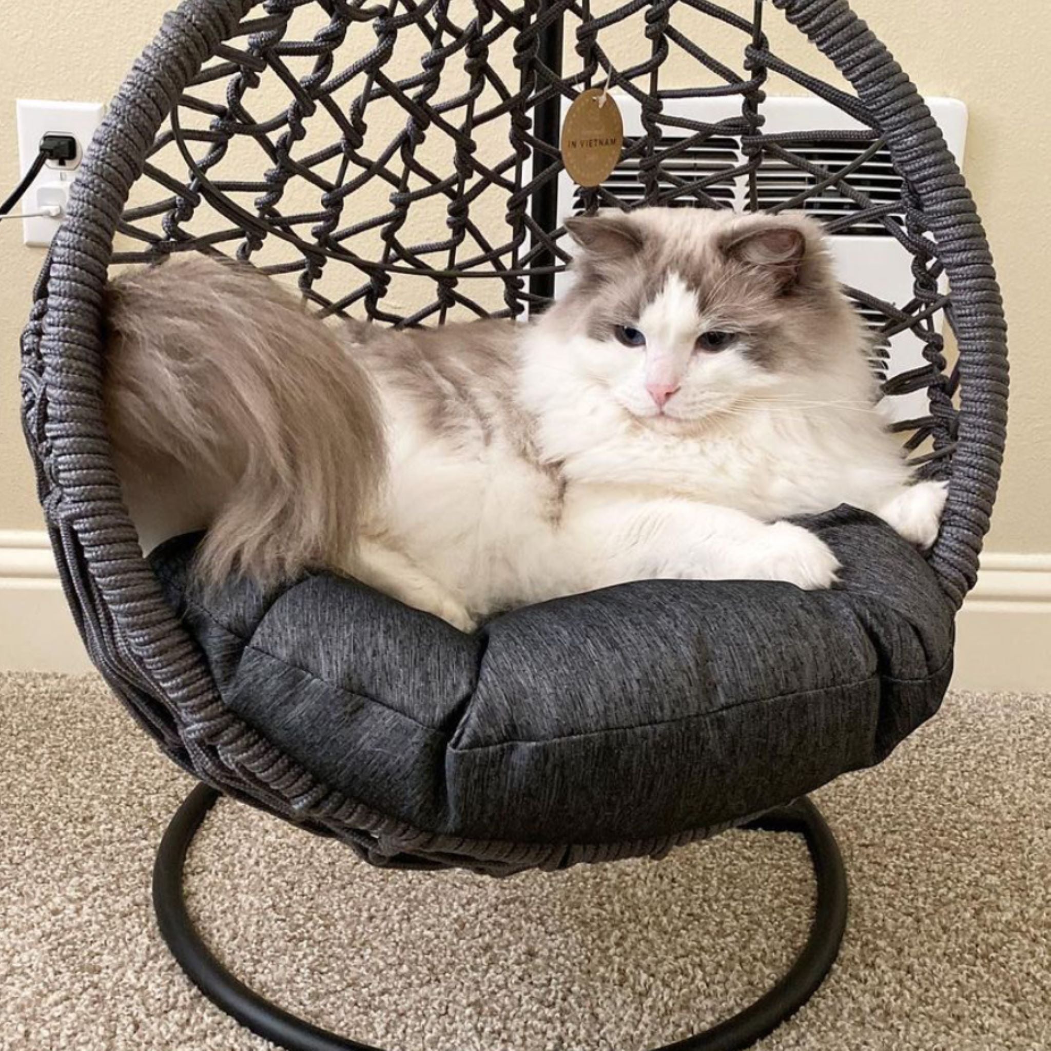 Hanging egg shop chair for cats