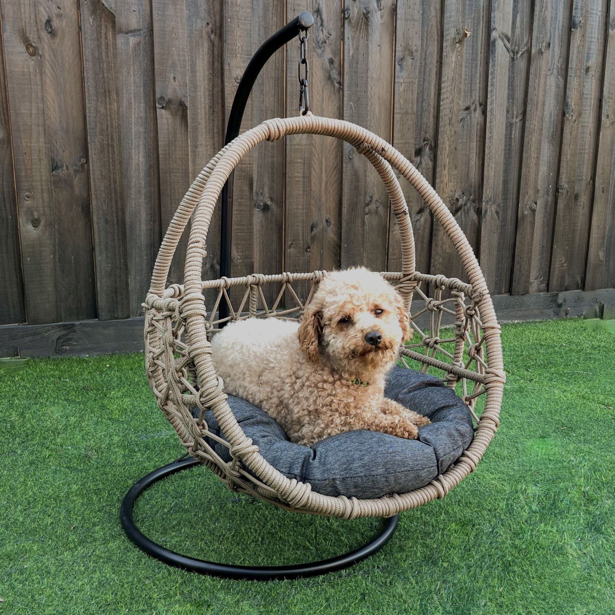 Dog outlet egg swing